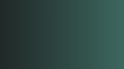 DHANA Money Magnet Bracelet